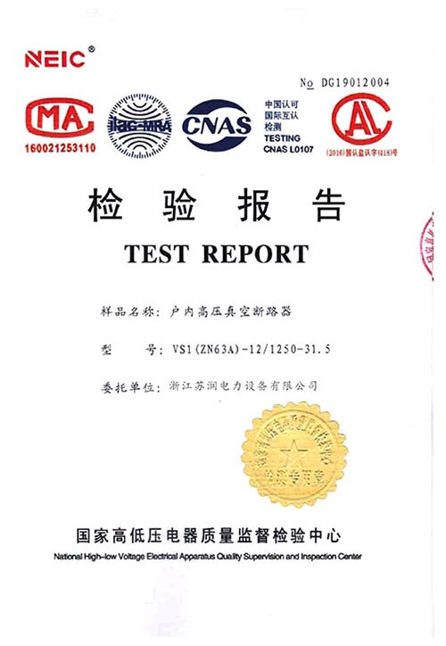 VS1檢驗報告-1